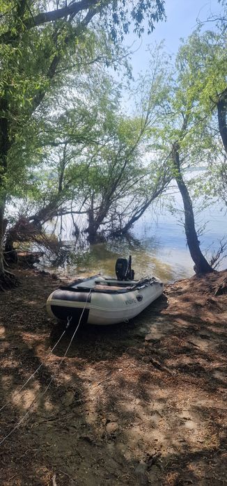 Barca cu motor de 4 cp