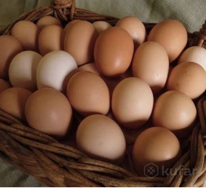 Продам домашние яйца !!!