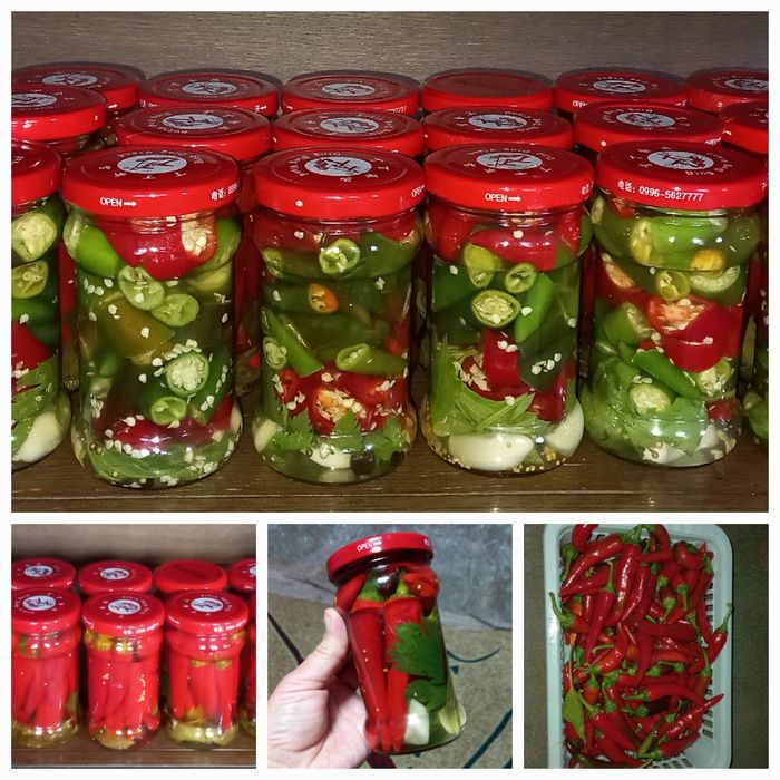 Продам декоративный, острый перец Чили