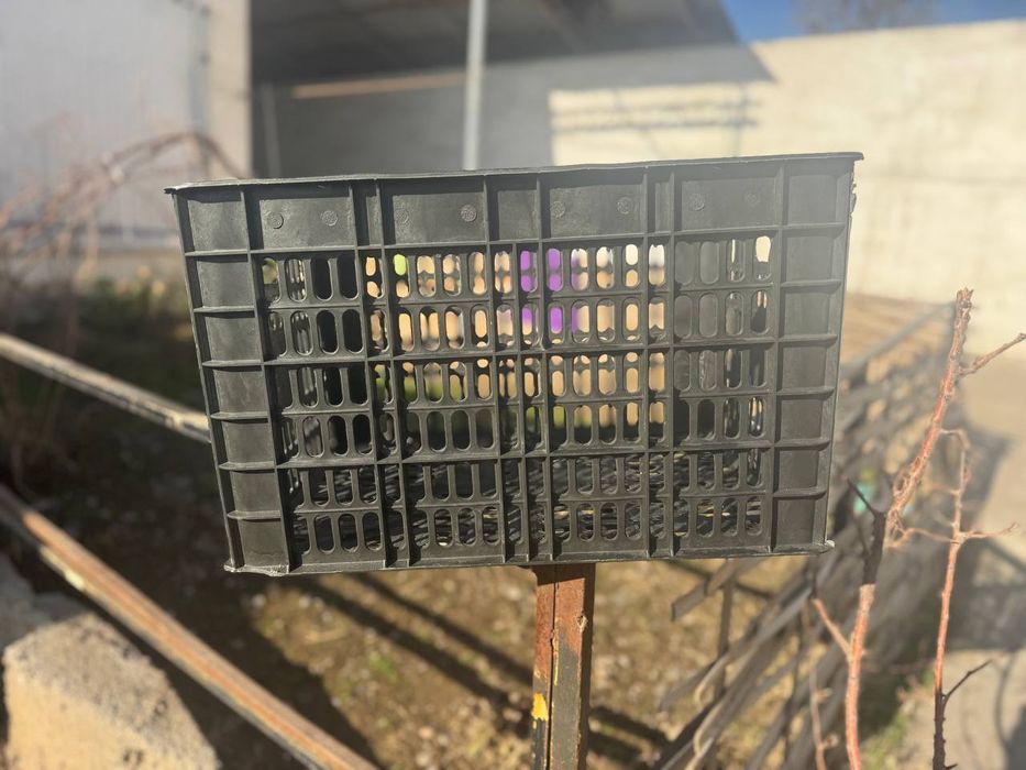 Пластиковый ящик