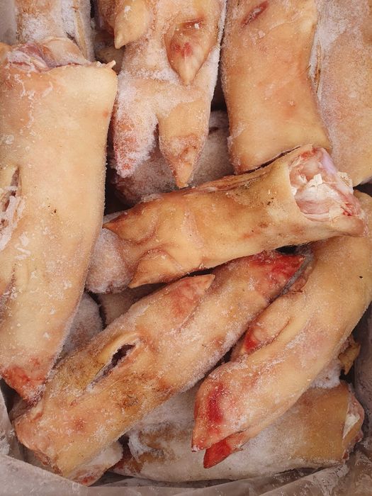 Месо  за  Кучета