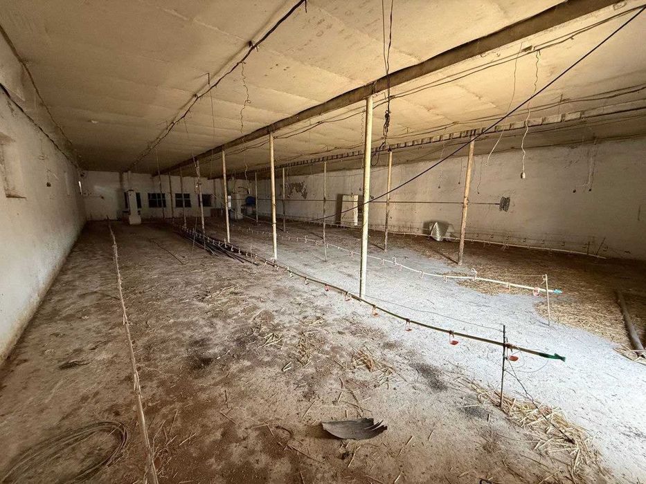 Тузель 54-сотки под склад производство 1200 м² склад 600 м² басс 16х4м