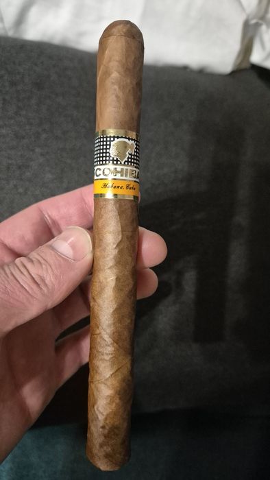 Vand trabuc Cohiba 170 mm