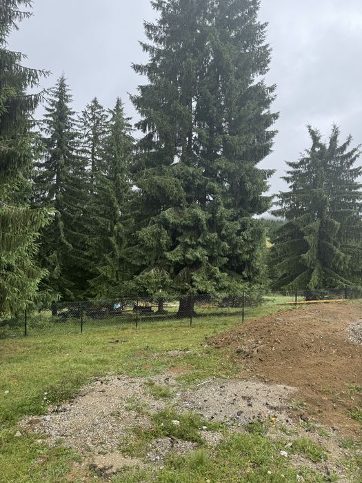 Casa de vacanta piatra fantanele