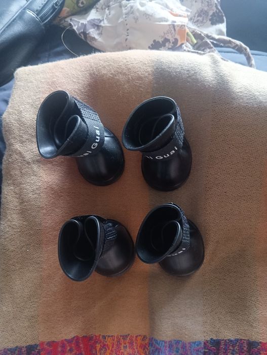 Сапожки на собаку