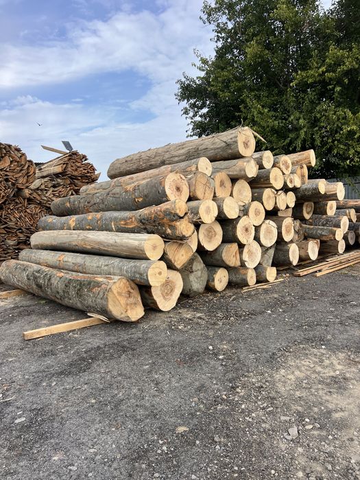 Buștean FAG / Lemn foc FAG