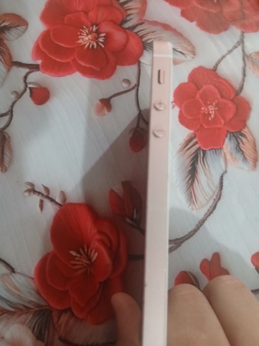 iPhone 5S display spart