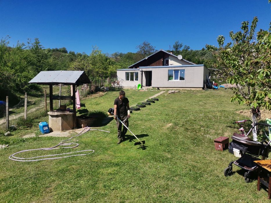 Рязане на опасни дървета ; чистене на дворни места ;рязане на дърва за