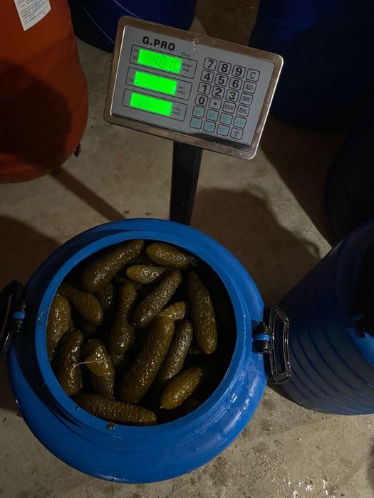 Vand muraturi asortate