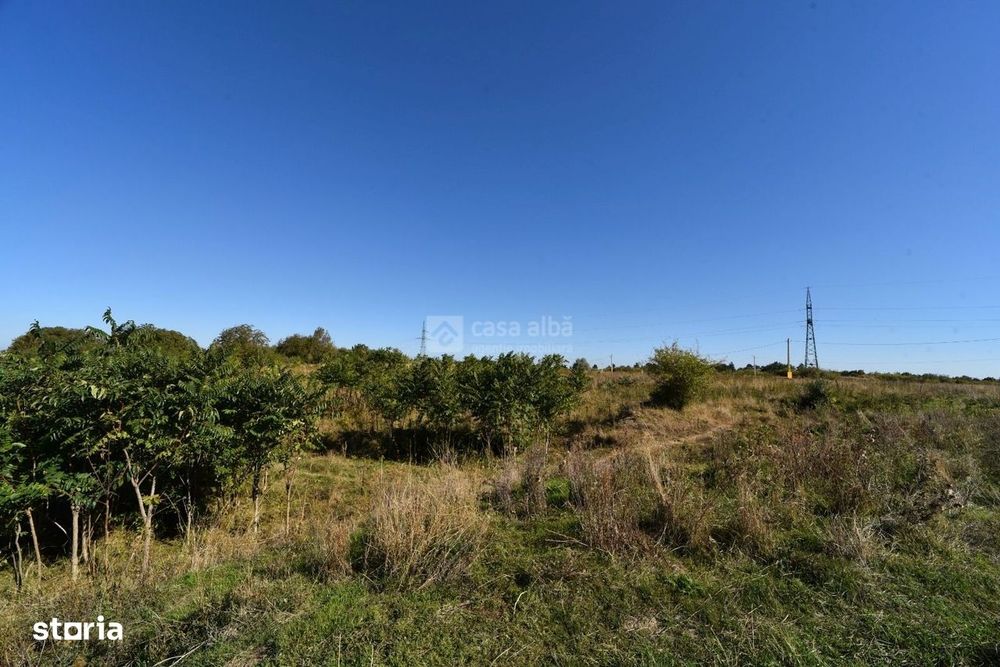 Barnova-Paun | Teren 10.000mp plan, 350m altitudine | POT 35%, CUT 0.9