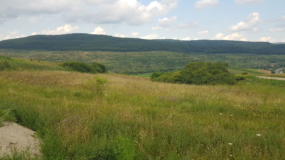 Vand 3750mp teren  cu PUZ,intravilan