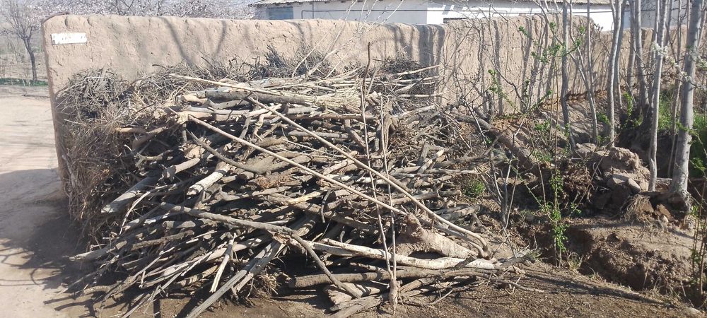 Oʻtin sotiladi bir zil anordi oʻtini kundasiyam bor