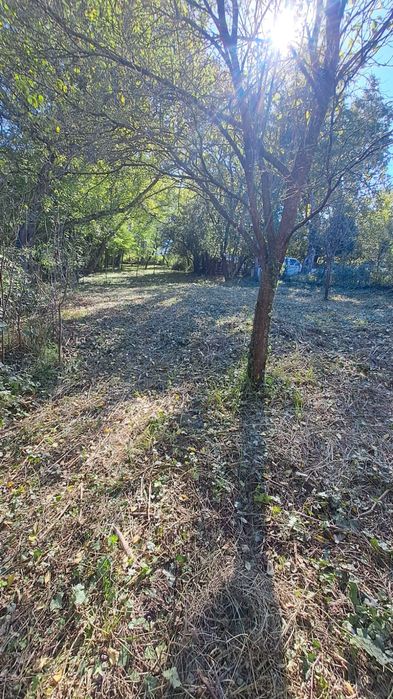 Casă Cristur- Crişeni