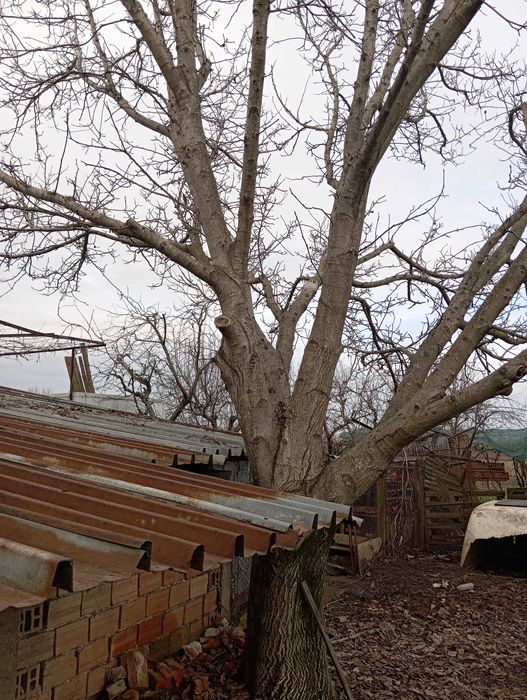 Продавам Орехов материал