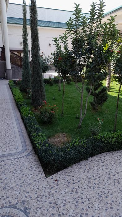 Transseksuallarda laktatsiya