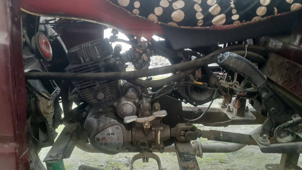 Muravey xonji 200takik vodemnoy