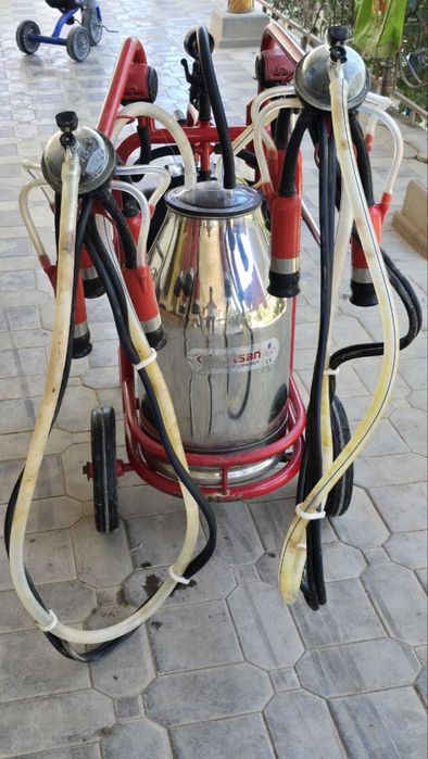 Eski video dan nemis porno