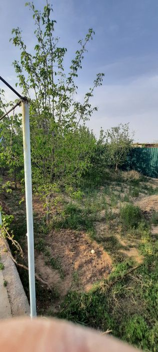 Дала ховли сотилади