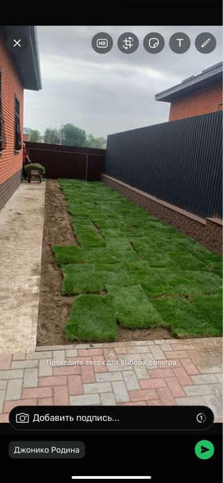 Газон озеленение