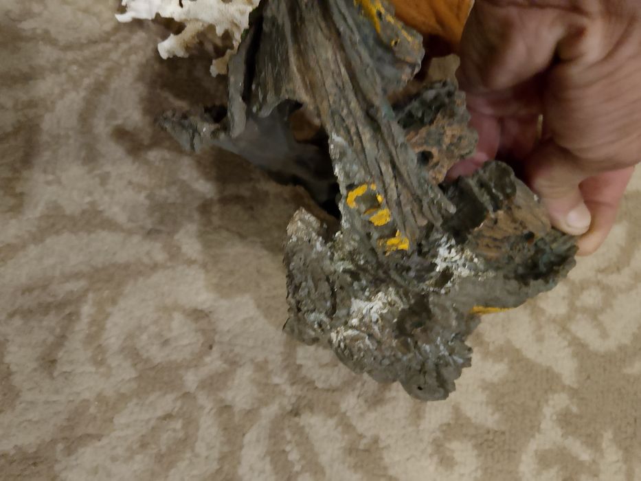 Кораблики для аквариума и ракушки