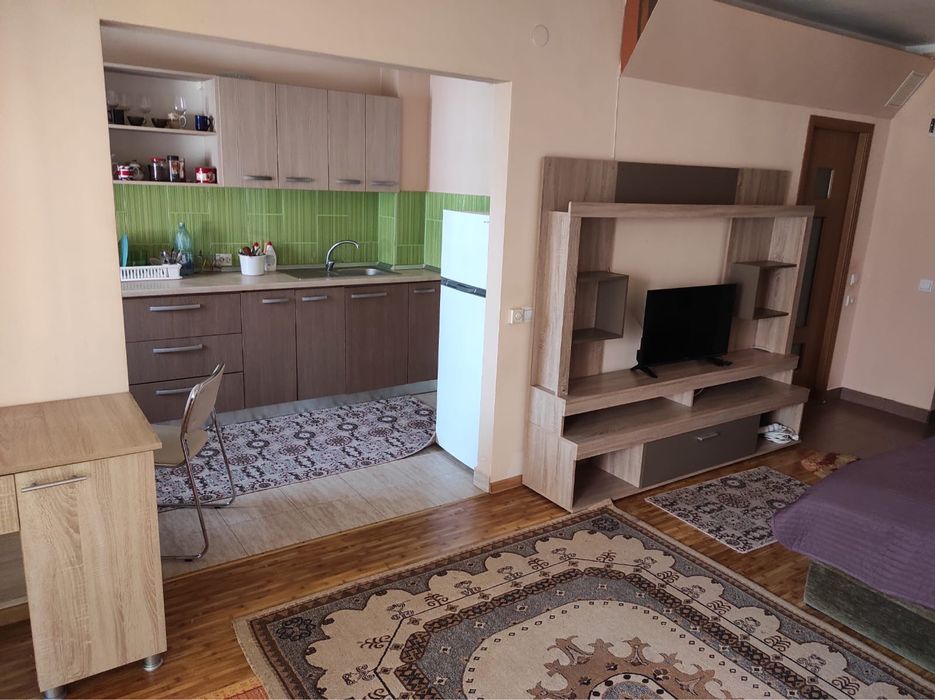 Inchiriez apartament cu 1 camera in Floresti