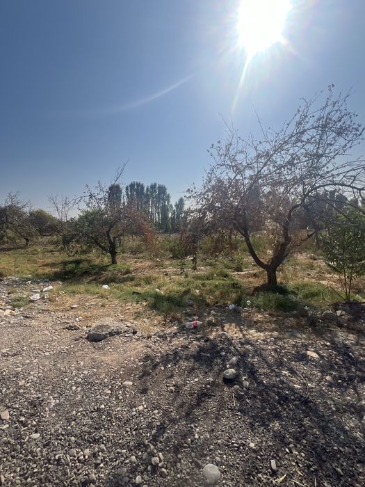 ЦЕНТР ЛУНАЧАРСКОГО земельный участок на 50 сотках Мирзо Улугбек