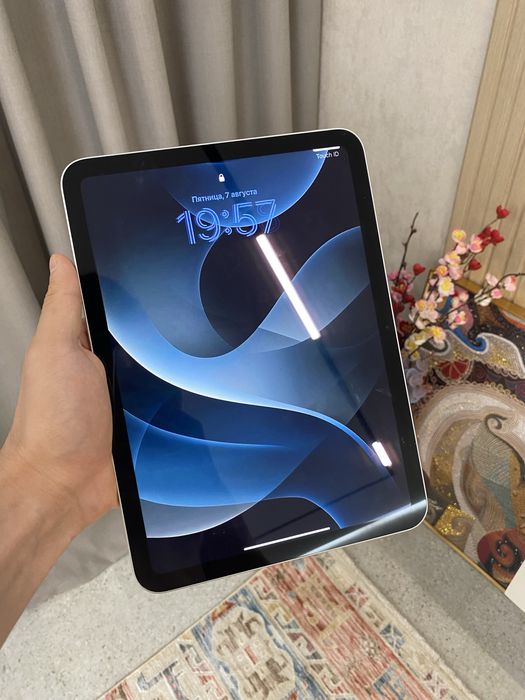 Ipad A16 256gb 100%