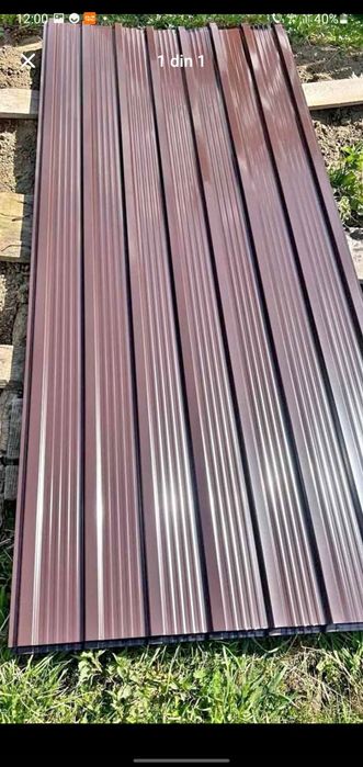 Tabal cutata colorata