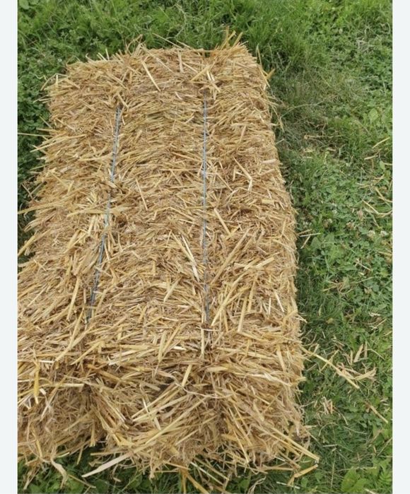 Vand baloti de paie productie 2025 aproximativ 400buc