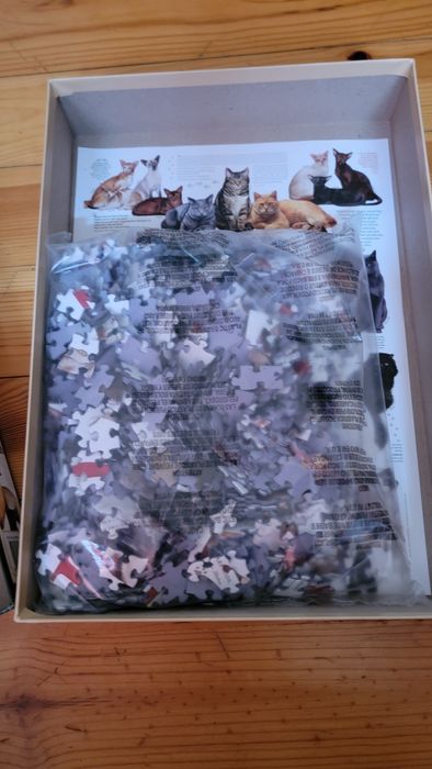 Пъзел за любителите на котки
