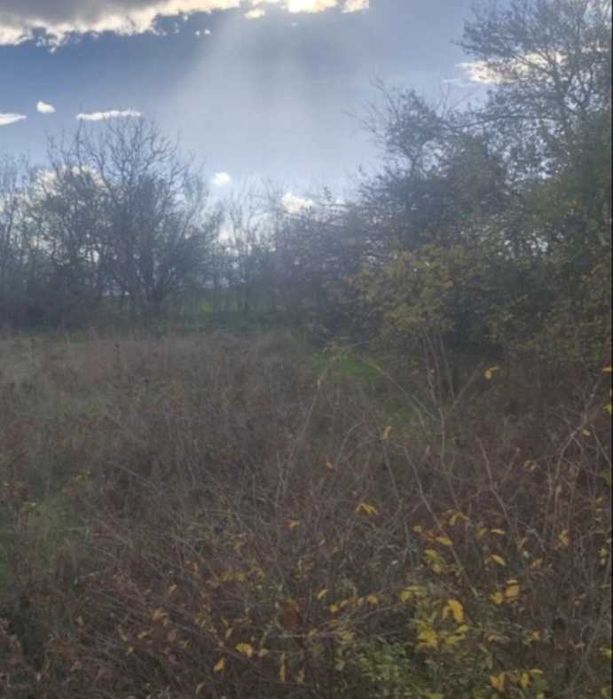 Продава се Парцел в с. Церова кория, Област Велико Търново - 1360 кв.м за 11 €/кв.м - Снимка #2