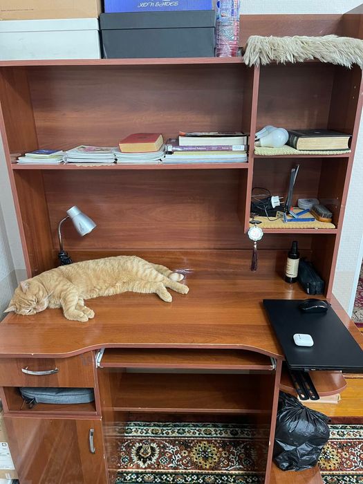 Срочно ученический рабочий стол в хорошем состоянии