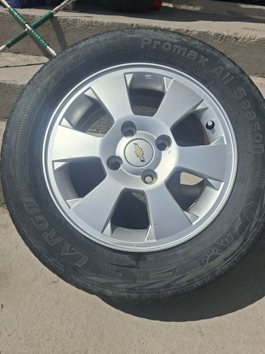 Diska balon jetra arginal diska