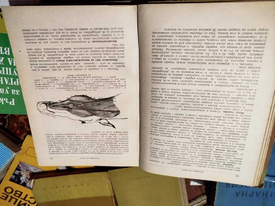 Ветеринарна медицина