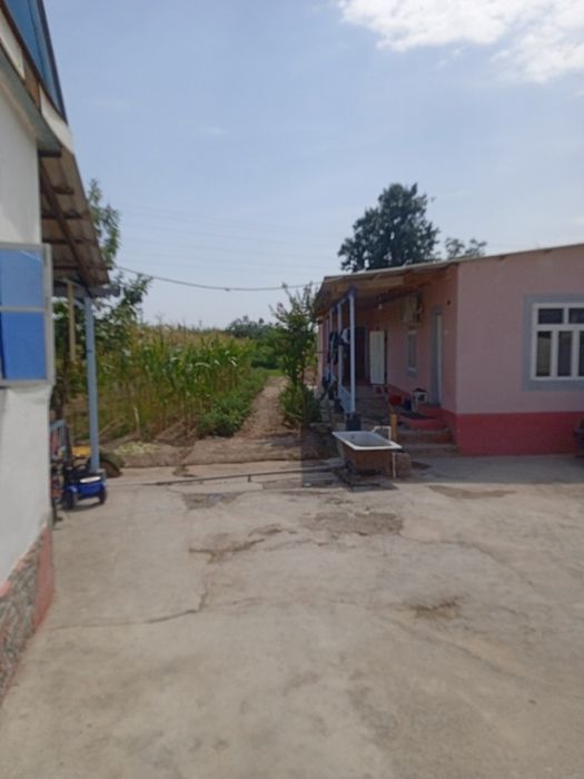 Shohbekat roparasi hovli