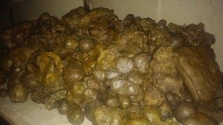 Продам мед натуральный