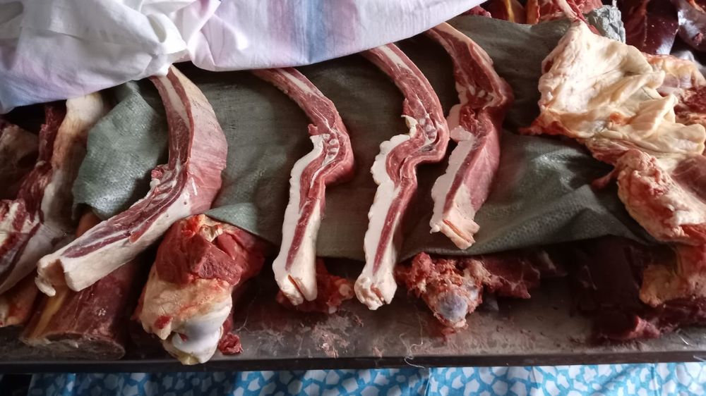 Продам согым, конина