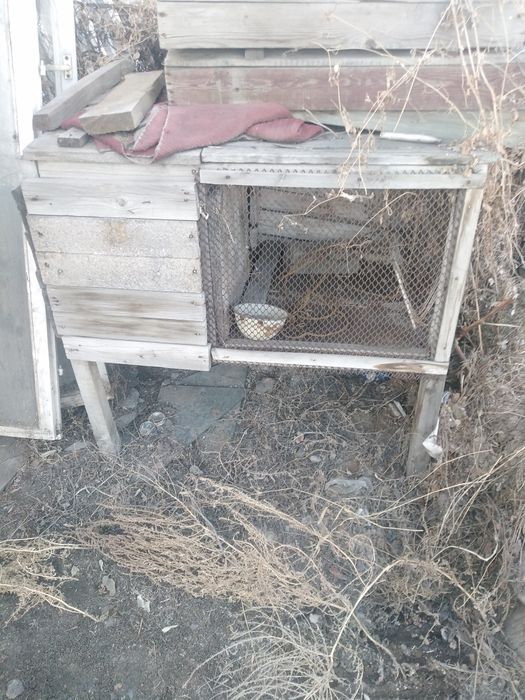 Продам клетки кроличьи