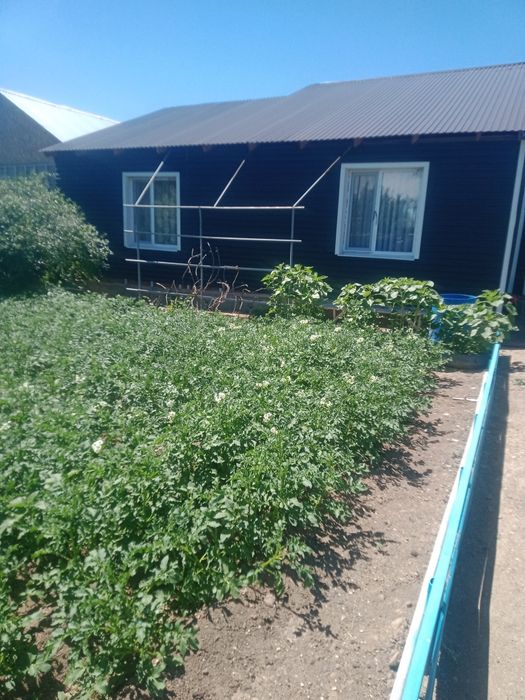 Продам дачу бам горняк