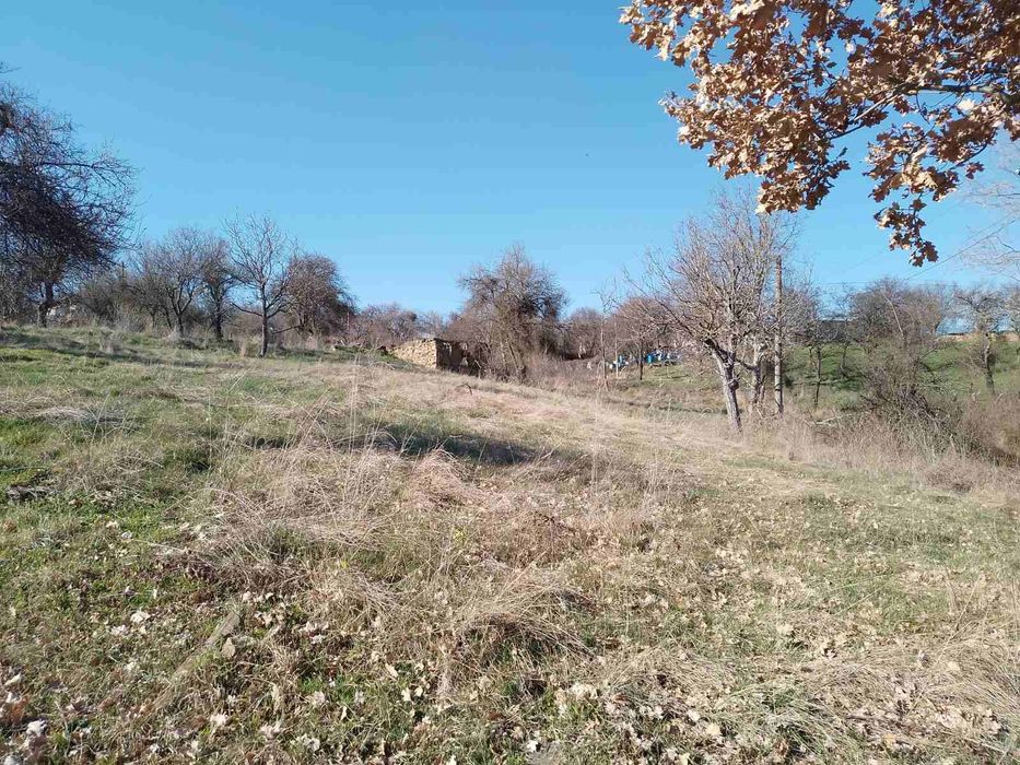 Продава се Парцел в с. Прибой, Област Перник - 2600 кв.м за 7 €/кв.м - Снимка #1