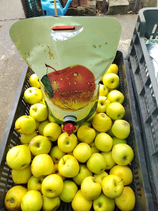 Suc natural de mere,pere,struguri