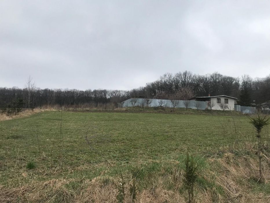Vand teren extravilan (9500 mp + 4500 mp), comuna Ion Creanga, vizavi de cantonul silvic