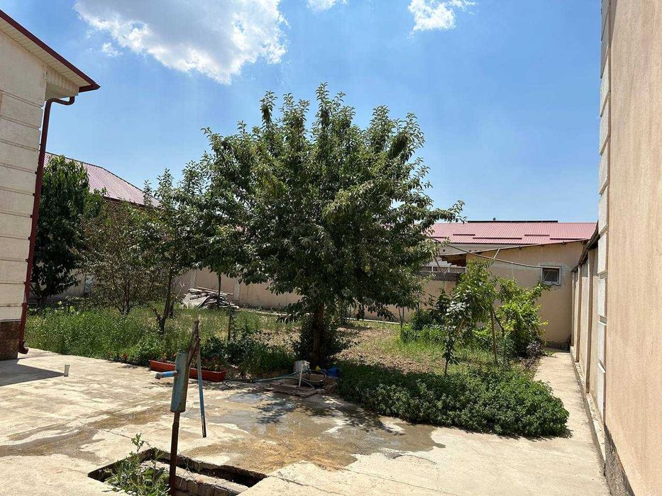 Бектемир туманида ҳовли 6 сотих (риелторлар безовта қилмасин)