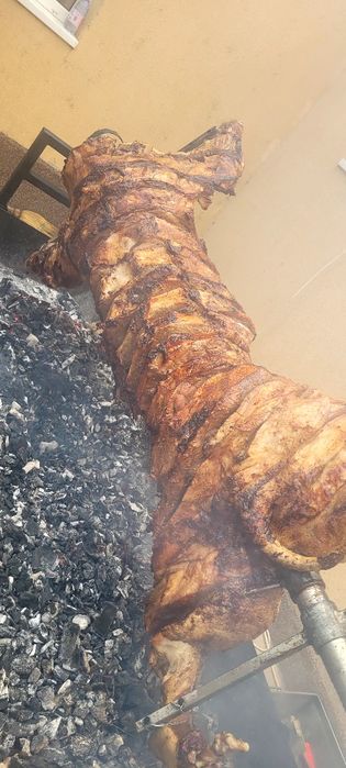 Tudor protap pt evenimentul tău