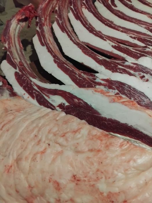 Продам мясо конина по частям