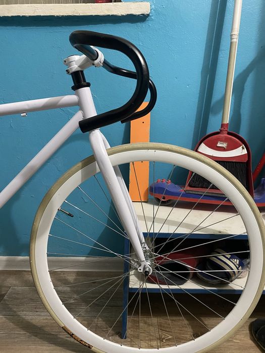 Singlespeed Axion Ghost