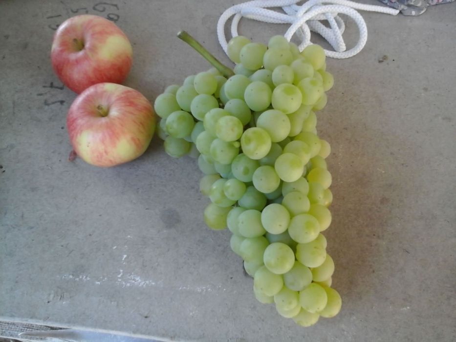 Продам чебуки винограда.