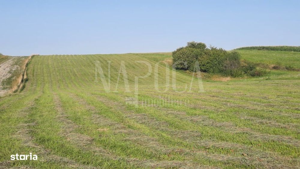 Teren intravilan pentru constructii de vanzare in Salicea