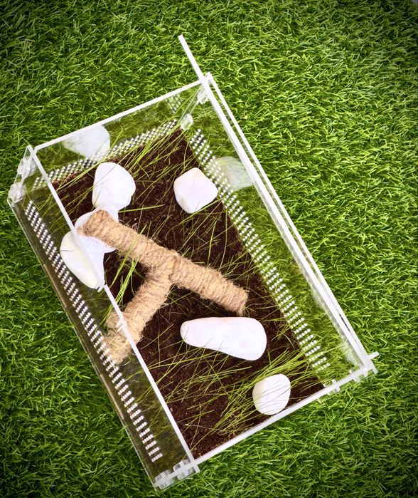 ТЕРРАРИУМ -  сухой аквариум