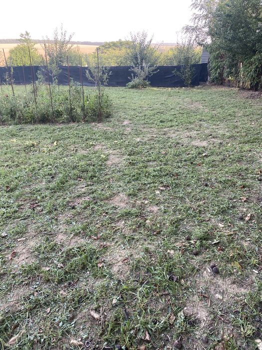 Продава се Парцел в Разград, Абритус - 801 кв.м за 32 €/кв.м - Снимка #2